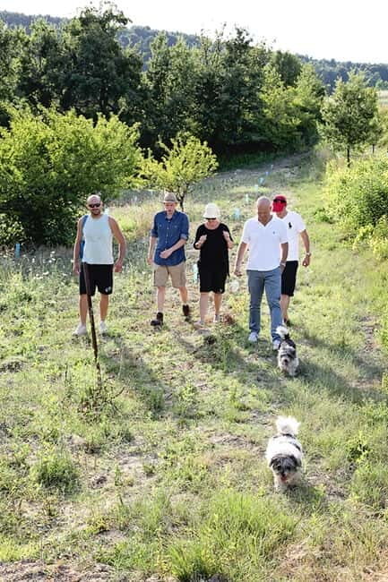 Truffle Hunting in Provence - Authentic Insights from Reviewers