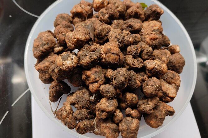 Truffle hunting in the Sicani mountains: a unique experience in Sicily - The Value of the Experience