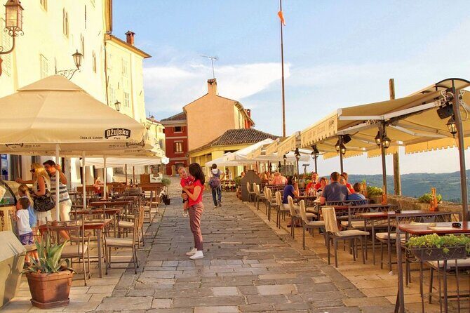 Truffle hunting tour from Rijeka - Key Points