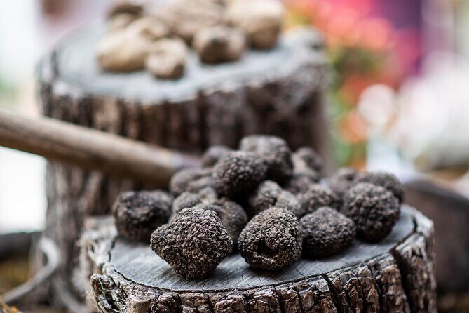 Truffle Hunting with Three Course Meal by Local Family - Key Points