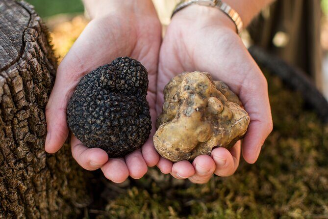 Truffle Hunting with Three Course Meal by Local Family - The Views and Atmosphere: More Than Just Food
