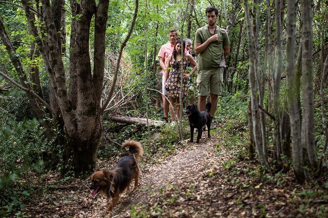 Truffle Hunting with Three Course Meal by Local Family - In The Sum Up: Who Will Love This Tour?