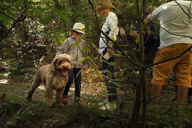Truffle Picking Experience with 3 Course Meal in Chianti hills - A Genuine Taste of Tuscany: Truffle Picking with a 3-Course Meal in Chianti Hills