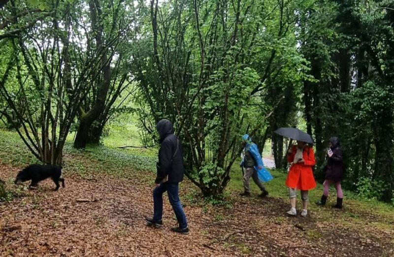 Truffle Tasting & Museum Tour in Umbria, near Perugia - Exploring the Tour: What to Expect and Why It Matters