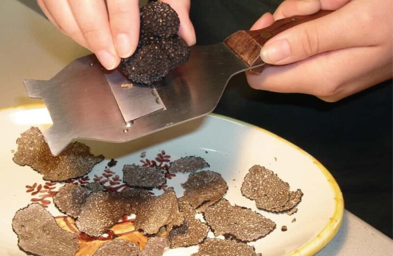 Truffle Tasting & Museum Tour in Umbria, near Perugia - Frequently Asked Questions