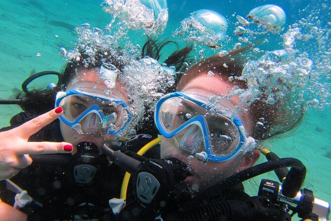 Try a DIVE, discover scuba diving in Mykonos - Key Points