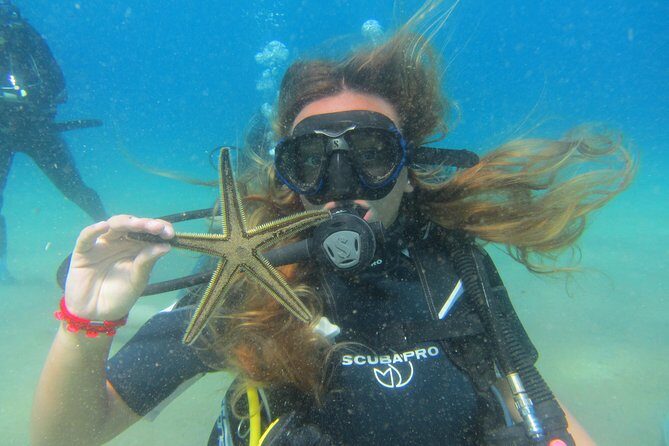 Try a DIVE, discover scuba diving in Mykonos - Itinerary Breakdown