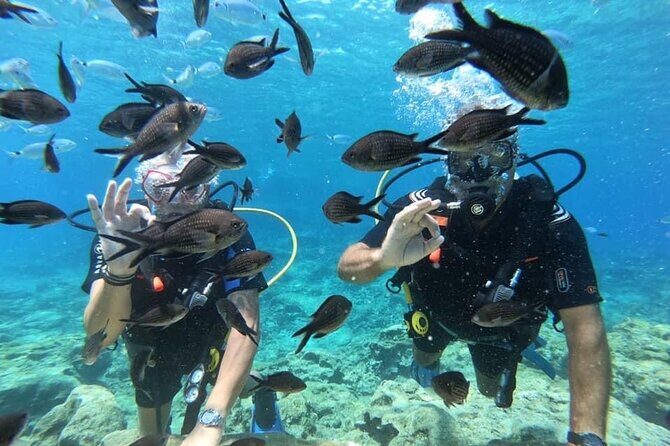 Try a Scuba Diving Experience - The Itinerary in Detail