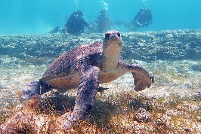 Try a Scuba Diving Experience - FAQs about the Discover SCUBA Diving Experience