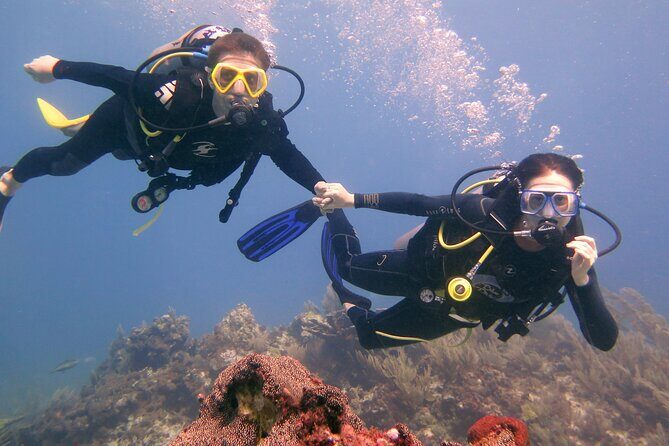 Try Dive in Cancun Underwater Museum - Analyzing the Cost and Value