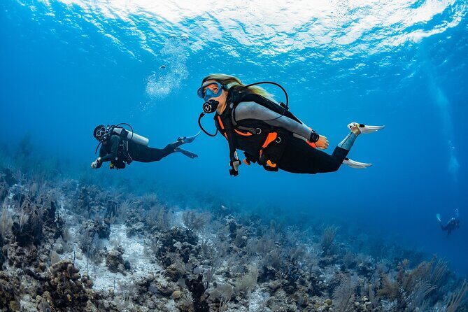 Try Dive - PADI Discover Scuba Diving in Tenerife - An In-Depth Look at the Experience