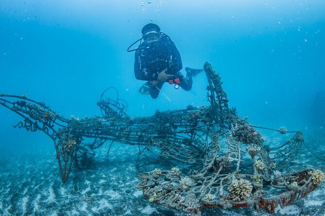 Try Dive Program in the Biorock Pemuteran - Key Points