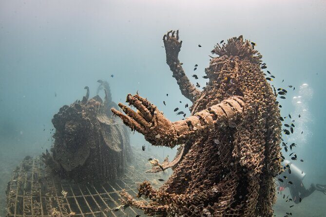 Try Dive Program in the Biorock Pemuteran - Who Should Consider This Experience