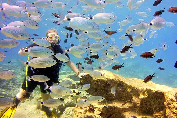 Try Dive - Scuba Diving with a private guide, incl. photos - Frequently Asked Questions