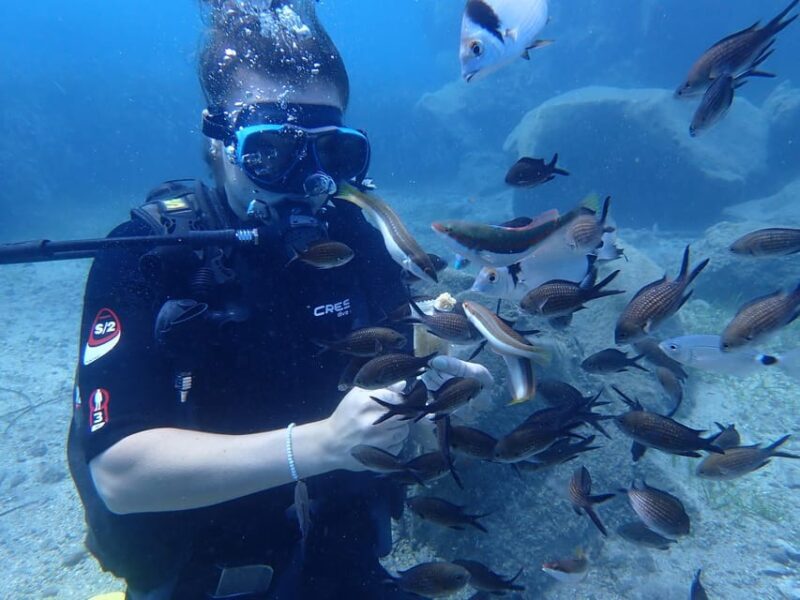 Try Diving Adventure - Who Should Consider This Tour?