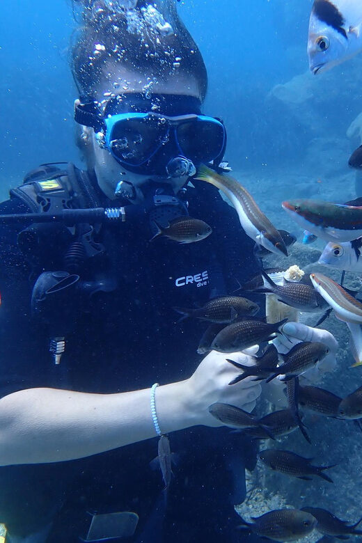 Try Diving Adventure - The Sum Up