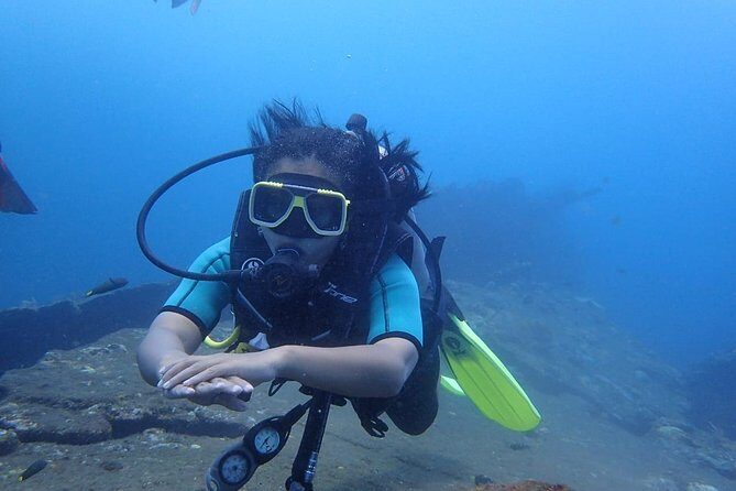 Try Diving at USAT Liberty Wreck Tulamben with 1 or 2 Dives (Stay In Tulamben) - Why Choose This Tour? A Deep Dive Into the Details
