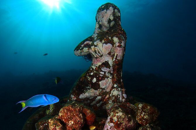 Try Diving at USAT Liberty Wreck Tulamben with 1 or 2 Dives (Stay In Tulamben) - FAQ