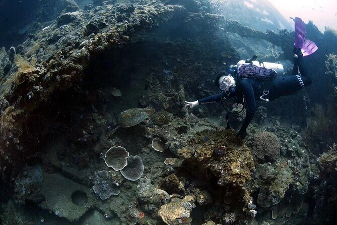 Try Diving in Tulamben - Shipwreck - Authentic Reviews and Insights