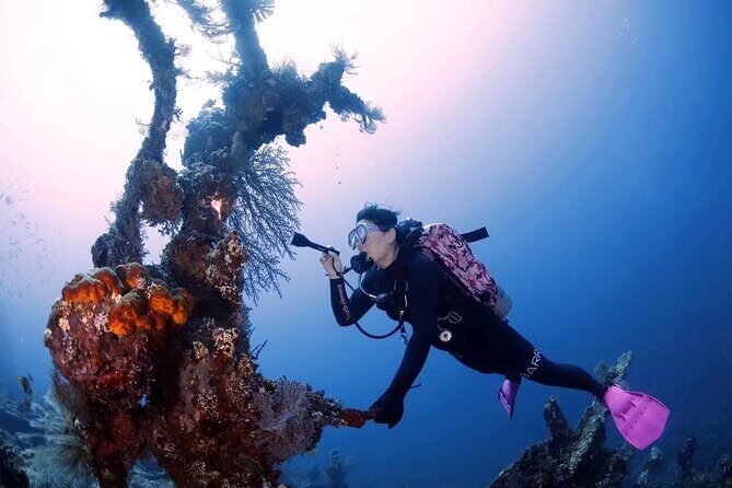 Try Diving in Tulamben - Shipwreck - FAQ