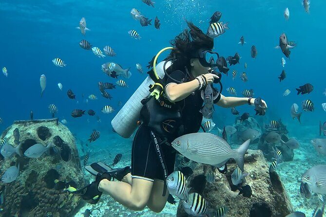 Try diving without previous experience from shore - What to Expect During the Experience