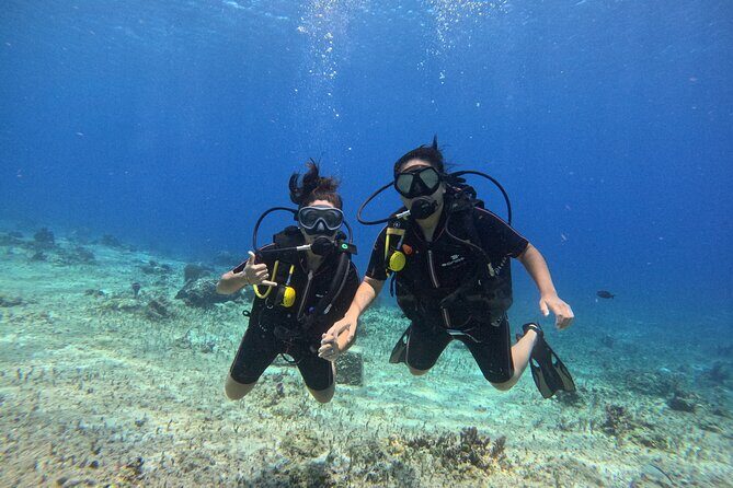 Try diving without previous experience from shore - Instruction Quality and Group Size