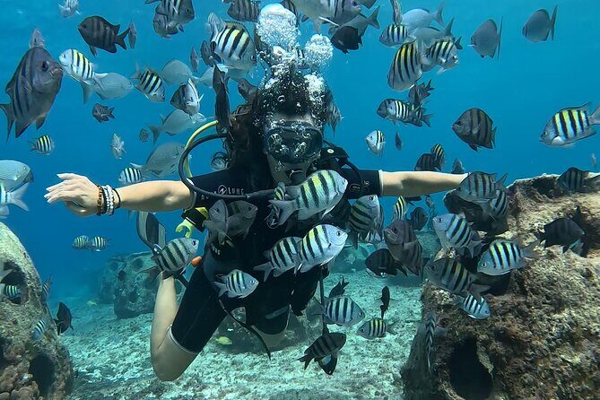 Try diving without previous experience from shore - Value for Money