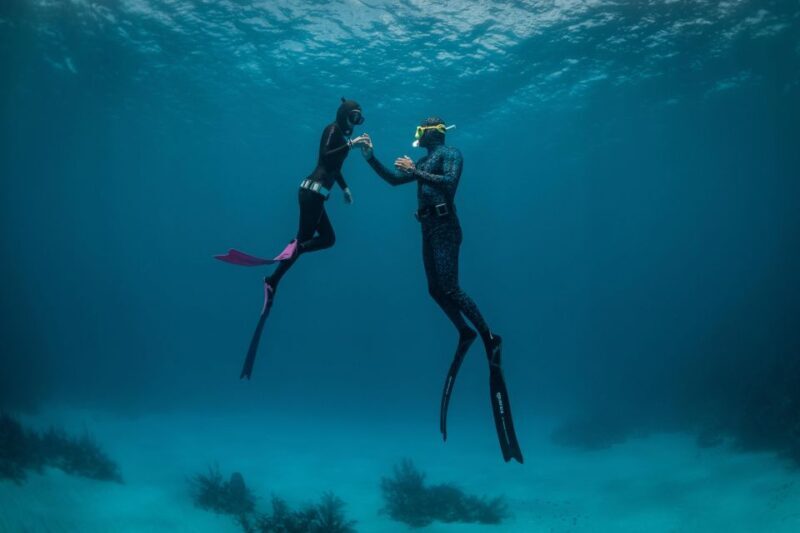 Try Free Diving in the Island of the Big Blue - Exploring the Experience in Detail