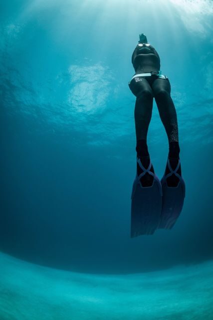 Try Free Diving in the Island of the Big Blue - Who Will Get the Most Out of This Tour?