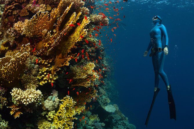 Try Freediving on Nusa Penida - The Impact of the Instructors
