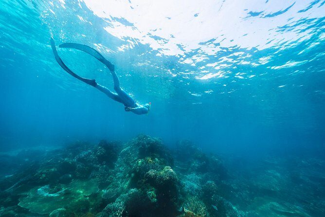 Try Freediving on Nusa Penida - Small Group Dynamics and Safety