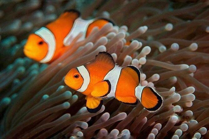 Try Scuba Diving - What to Expect from the Try Scuba Diving Tour