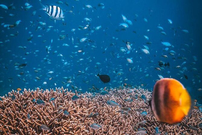 Try Scuba Diving - Who Is This Tour Best For?