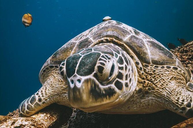Try Scuba Diving - Final Thoughts