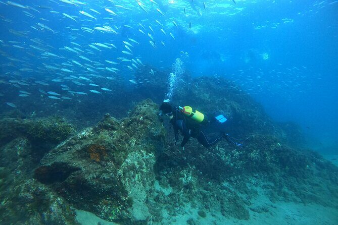 Try Scuba Diving | 2 dives - Who Is This Tour Best For?