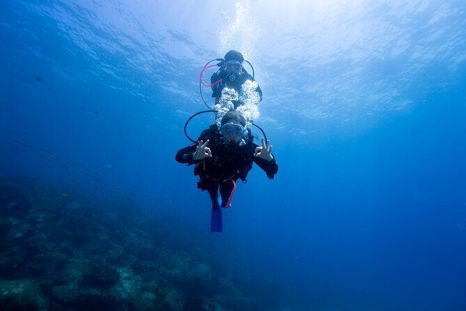 Try Scuba Diving at Cook Island  Guided Ocean Dive with Turtles - Introduction: A Unique Underwater Adventure for All