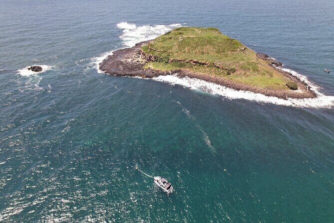 Try Scuba Diving at Cook Island  Guided Ocean Dive with Turtles - Final Thoughts