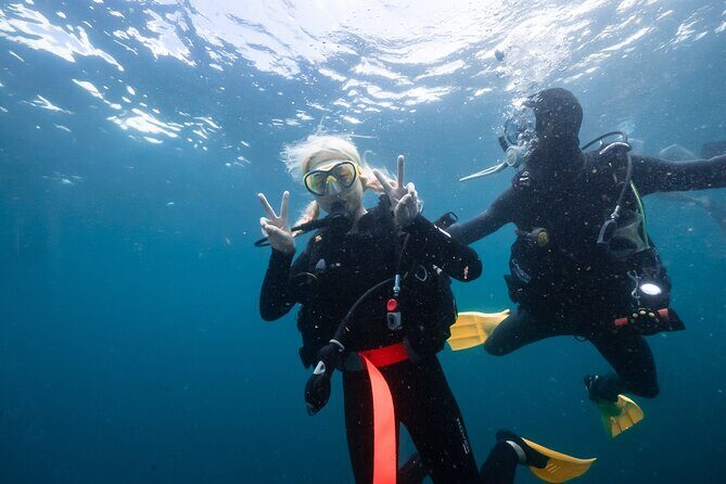 Try Scuba Diving at Cook Island  Guided Ocean Dive with Turtles - FAQ