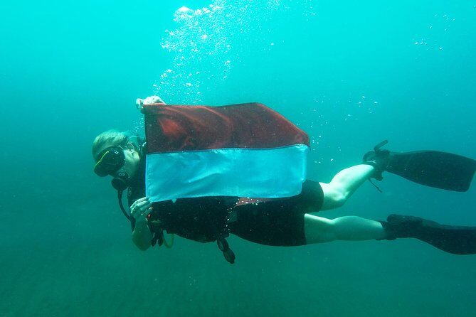 Try Scuba Diving at Tulamben Shipwreck - Overview of the Experience