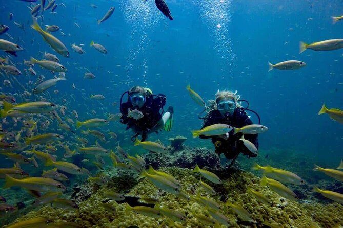 Try Scuba Diving - The Itinerary: What to Expect