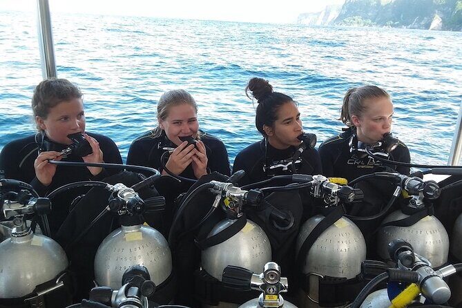 Try Scuba Diving for Beginners with manta rays (Non - Certified) - Key Points