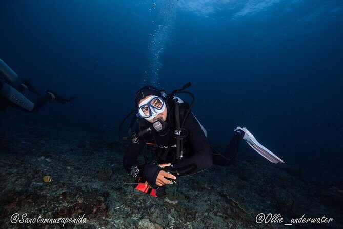 Try Scuba Diving for Beginners with manta rays (Non - Certified) - The Itinerary in Detail