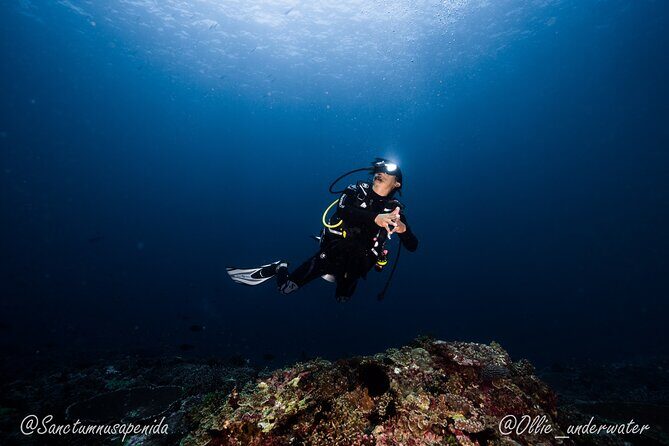 Try Scuba Diving for Beginners with manta rays (Non - Certified) - Practical Details and Considerations