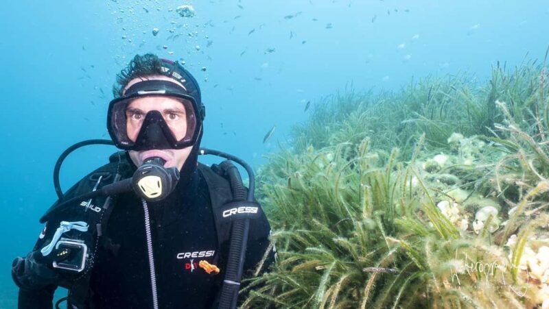 Try Scuba Diving from Boat in Budva - Budva Diving Center - Why This Tour Offers Great Value