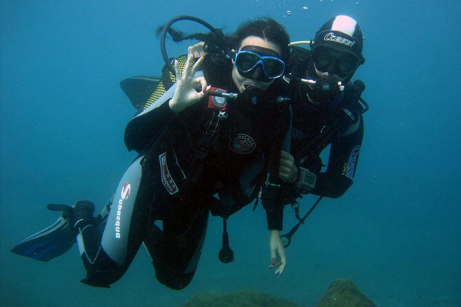 Try Scuba Diving in a turtle area (boat) - Why This Experience Stands Out