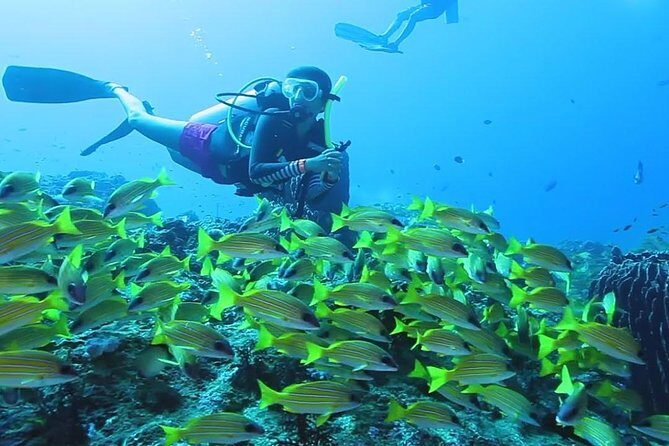 Try Scuba Diving In Havlock - Practical Considerations for Travelers