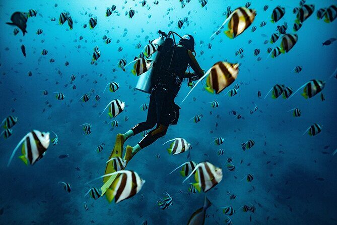 Try Scuba Diving in Kauai: No Experience Needed - A Detailed Look at the Kauai Try Scuba Experience