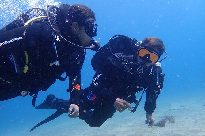 Try Scuba Diving in Lanzarote (No experience needed) - Key Points