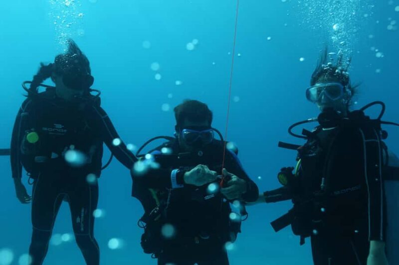 Try Scuba Diving in Playa del CarmenDive Machine Experience - Who Should Do This Tour?