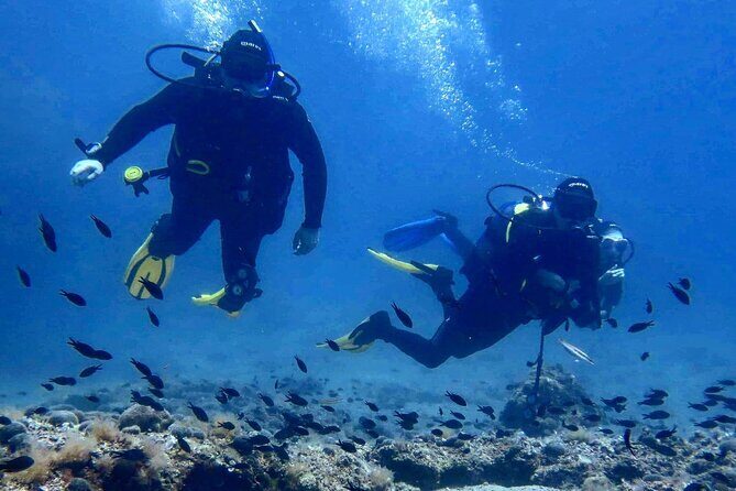 Try Scuba Diving in Split - Key Points